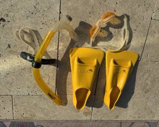 Finis fins and accessories