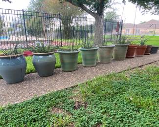 lots of beautiful large planters
