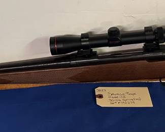 Savage Model 110 30-06 Springfield w/scope