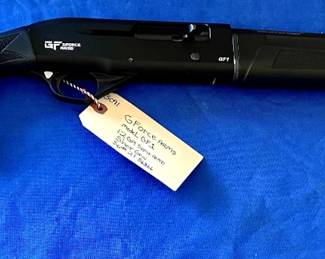 G Force Arms GF1 12 ga 