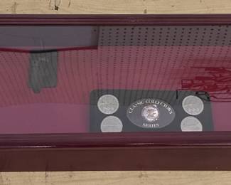 Gun Display case