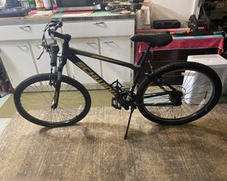 Schwinn bike