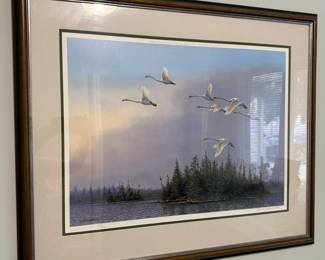 WILDLIFE PRINTS
