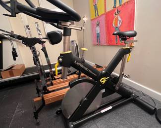 Lemond Fitness Model 15300-7 Bike Trainer