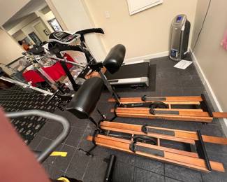 A pair of Nordic Traks