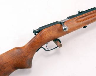 Savage .22 bolt