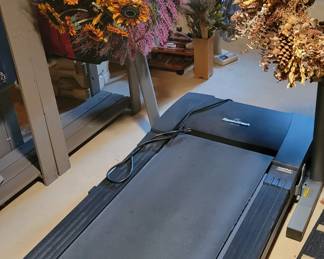 Treadmill. Holiday wreaths