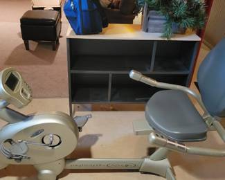 Athlon simplicity LX stationary recumbent bike