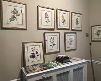 Botanical Prints