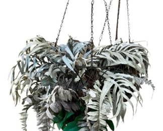 Hanging Live Plant