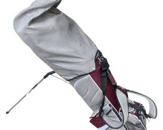 Lady Hagen Golf Bag And Set Of Golf Clubs