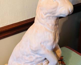 Large rabbit