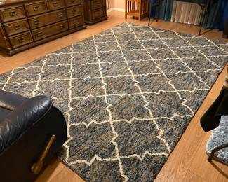 Very nice and large area rug