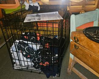 rece room. small pet crate