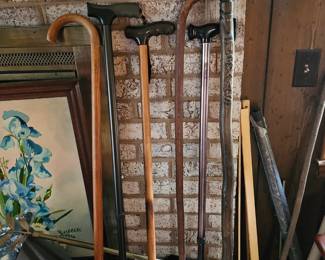 Assorted Canes