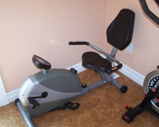 ANOTHER EXERCISE DEVICE