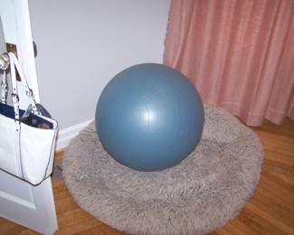 DOG BED & EXERCISE BALL