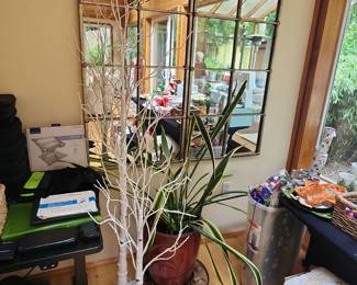 Wall mirror, snake plant