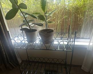 Indoor plants & stand