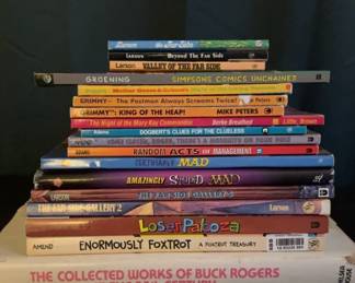 Books That Read Like Comics 
