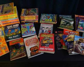 Mystery Lot Of Books 
