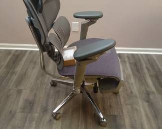 HINOMI Office Chair