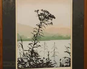 Great Smoky Mountains, Numbered and Signed