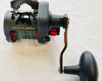 Penn Fathom Fishing Reel