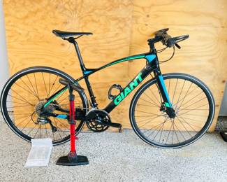 Giant "Fastroad" Bike
