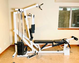 Parabody Home Gym