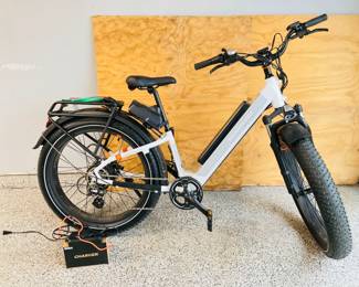 Radrover Electric Bike