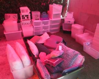 Loads of Organizational Supplies, NOT PINK!  (Pink is reflection from canopy cover)