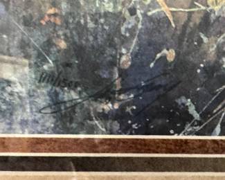 Detail of Limitation and Hand Signature