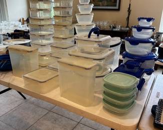 Tons of Plastic Storage Containers