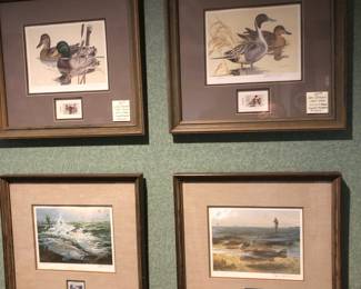 Wildlife framed prints.