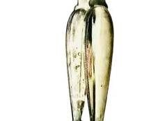 French Hallmarked 950 Silver Tongs - Hallmarks Indicate "Osprey Paris" Jeweler Dating Between 1819 - 1838