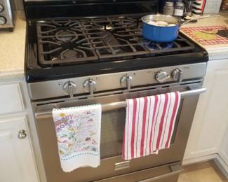 Frigidaire Professional gas range