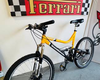 Iron Horse mountain bike 
