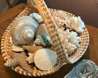 seashells