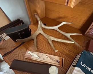 antlers