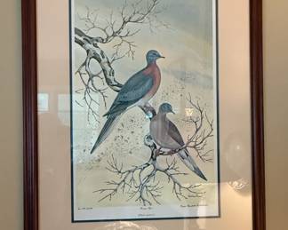 Framed limited edition print "Passenger Pigeons" by Anne Horsham Richardson (#117/2100)