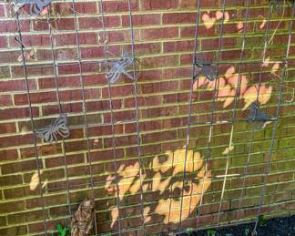 Metal trellises