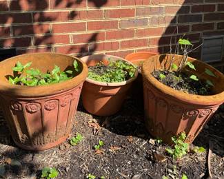 Clay pots