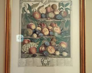 Framed reproduction print of August fruits by Robert Furber