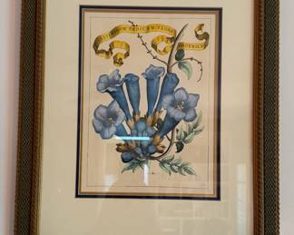 Framed art print "Floral Ribbon 1" from Caitlin Wilson Design