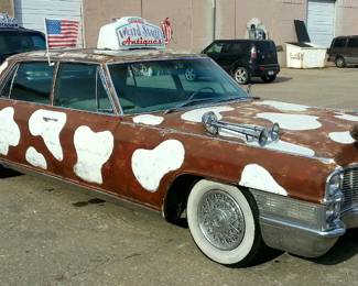 Cadi brown cow spotted