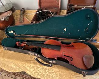 Violin