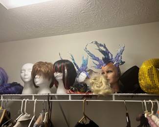 Assorted wigs and headpieces. Good for Halloween or cosplay.