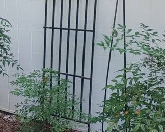 Wrought iron garden gates and Shepherd's hooks