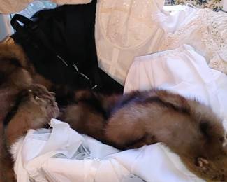 Mink Stoles full body heads & feet